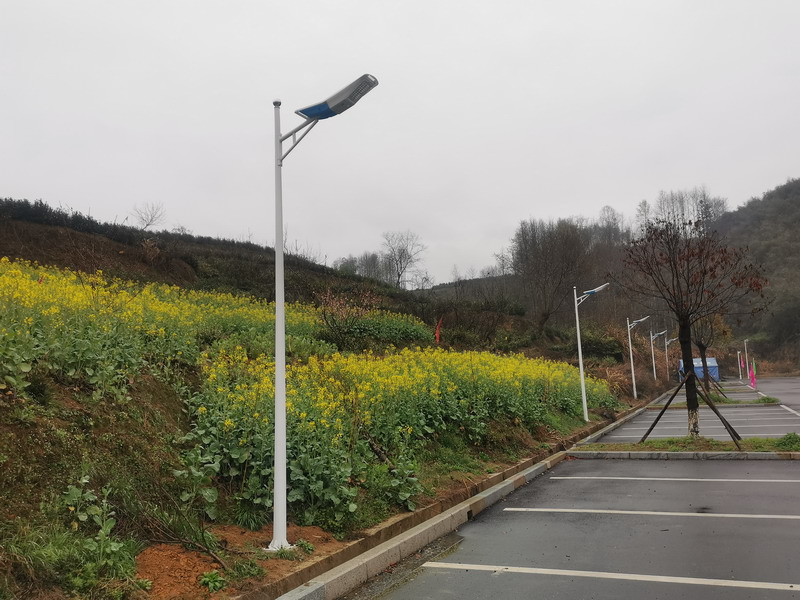 園林景區應用_031